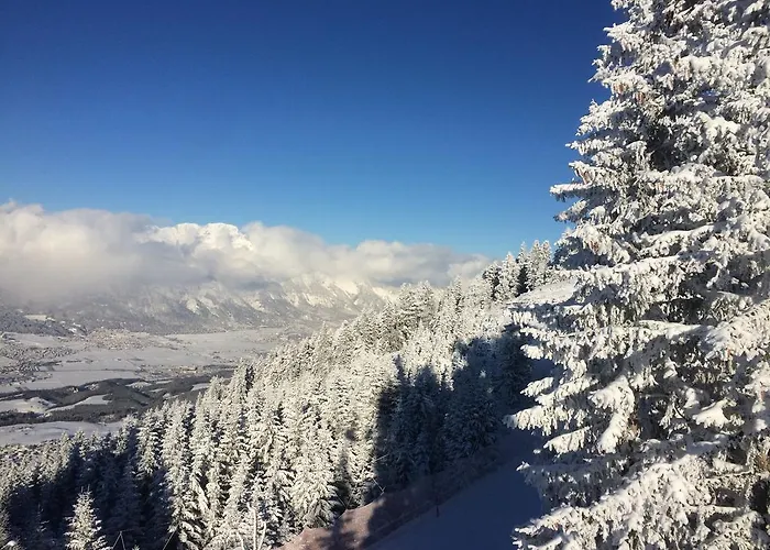 酒店 Batzenhaeusl 4*